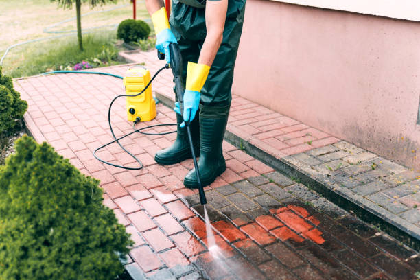 Best Driveway Pressure Washing  in Biloxi, MS